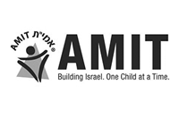 logo_amit