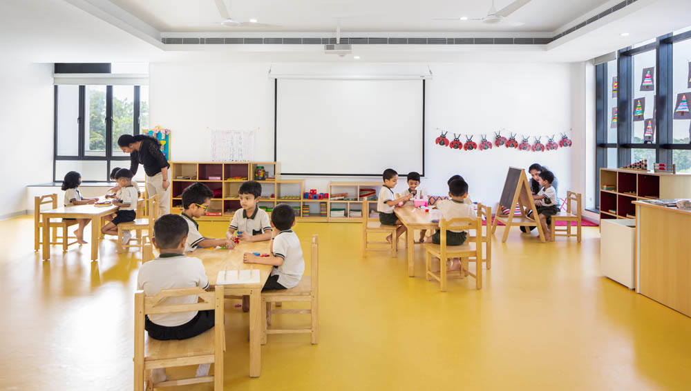 Trins-5 | Education Design International | EDI